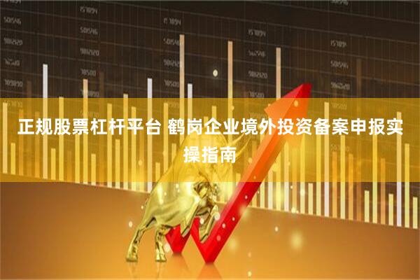 正规股票杠杆平台 鹤岗企业境外投资备案申报实操指南