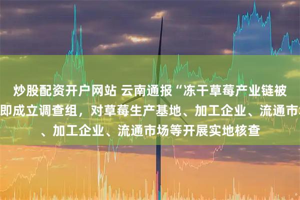 炒股配资开户网站 云南通报“冻干草莓产业链被曝存在问题”：立即成立调查组，对草莓生产基地、加工企业、流通市场等开展实地核查